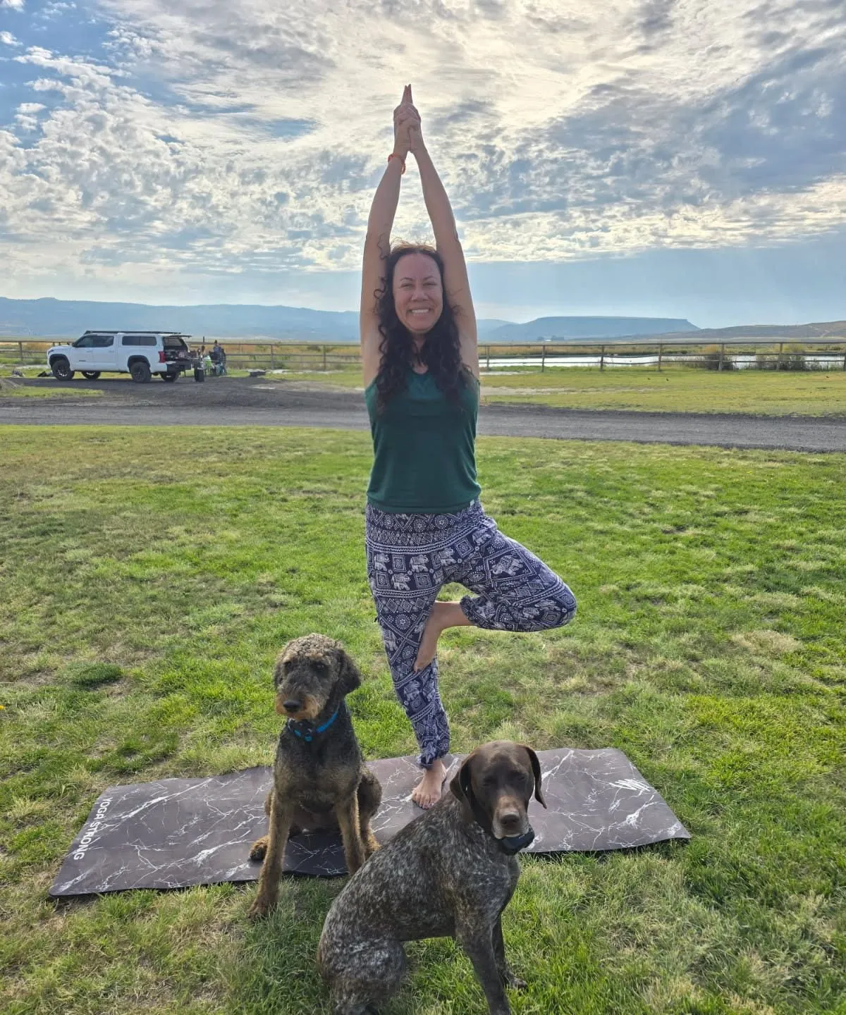Yogi in tree pose on a grassy field with two dogs at her feet